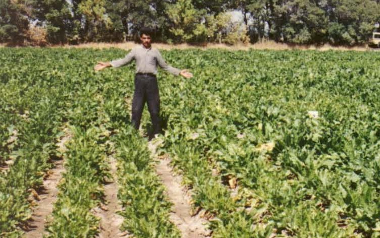 کشاورزان اندیمشکی نیز برای نجات مزارع خود به فاضلاب پناه بردند