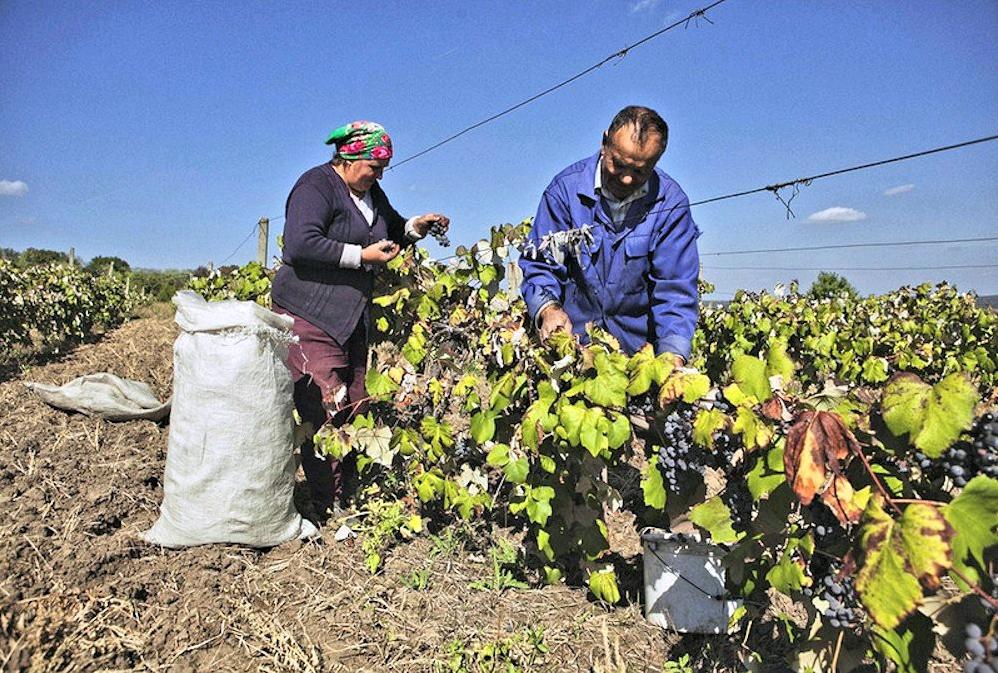 سرنوشتی مشابه اوکراین، مولداوی را تهدید میکند سرنوشتی مشابه اوکراین، مولداوی را تهدید میکند