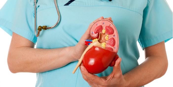 عاداتی که سلامت کلیه ها را تهدید می کند عاداتی که سلامت کلیه ها را تهدید می کند