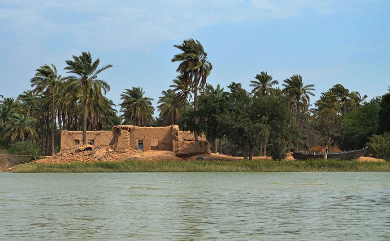 بزرگترین فاجعه زیست محیطی در نخلستانهای آبادان در شرف وقوع است بزرگترین فاجعه زیست محیطی در نخلستانهای آبادان در شرف وقوع است