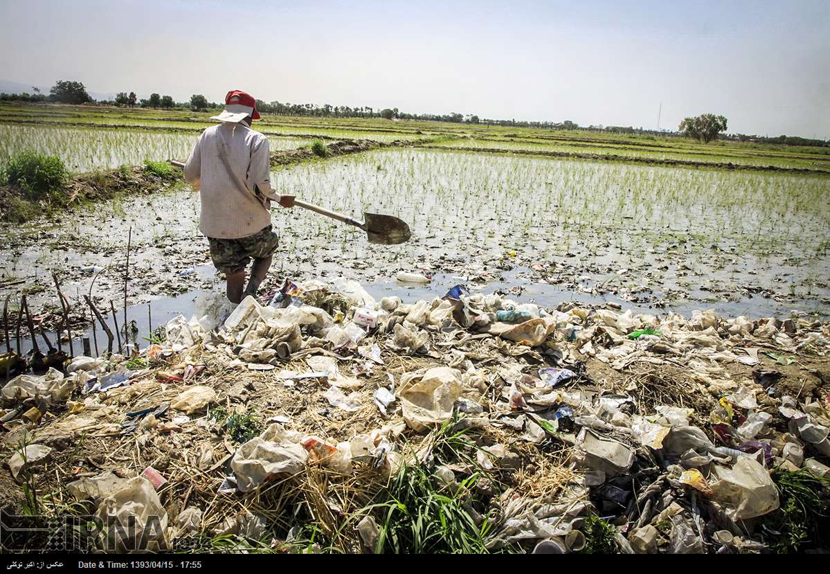 فاضلاب جنوب تهران، آلوده ترین آب دنیاست فاضلاب جنوب تهران، آلوده ترین آب دنیاست