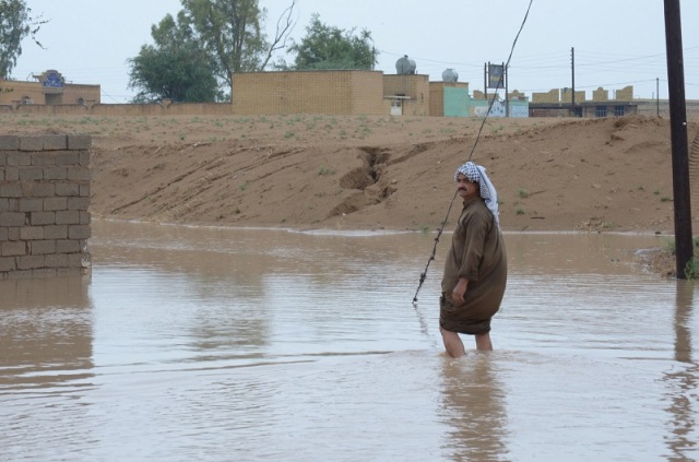 ۳۵ گوزن ایرانی بر اثر سیل متعمد خوزستان (عربستان) مفقود شدند