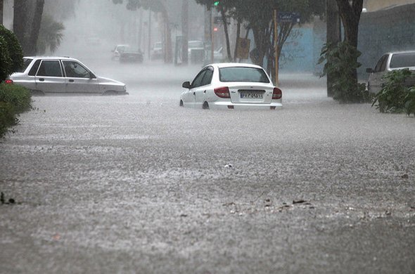 ۳۵ گوزن ایرانی بر اثر سیل متعمد خوزستان (عربستان) مفقود شدند ۳۵ گوزن ایرانی بر اثر سیل متعمد خوزستان (عربستان) مفقود شدند