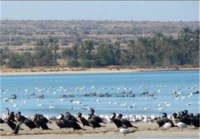 سه اثر جهانی خوزستان ،عربستان،الاحواز،بدون زیرساخت گردشگری سه اثر جهانی خوزستان ،عربستان،الاحواز،بدون زیرساخت گردشگری