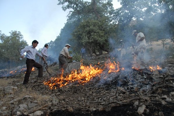 ۳۰ هکتار از جنگل‌های لرستان در آتش سوخت