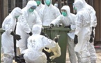 نابودی بیش از یک میلیون پرنده بر اثر آنفولانزای مرغی در فرانسه