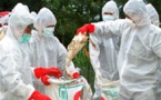نابودی هزاران قطعه مرغ در تایوان بر اثر آنفولانزای مرغی