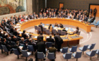 شورای امنیت برای بررسی اقدامات ترکیه در عفرین تشکیل جلسه می‌دهد