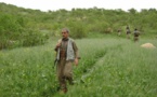 یکی دیگر از فرماندهان نظامی حزب دمکرات در استان سلیمانییه ترور شد