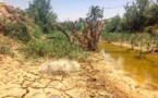 فرياد خشک و چرکین فلاحیه وقتی رودهای بی آب طغیان میکنند /يوسف السرخي