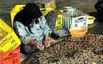استثمار کارگران زن در کارگاه های کوچک ایران