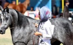 اسب اصیل عرب از اهواز