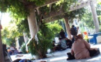 گزارش تکان‌دهنده از پارک معتادان در پایتخت ایران