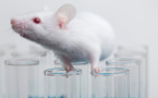 درمان دیستروفی عضلانی در موش با ویرایش ژنتیکی
